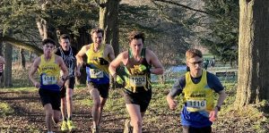 Watford better banner 3